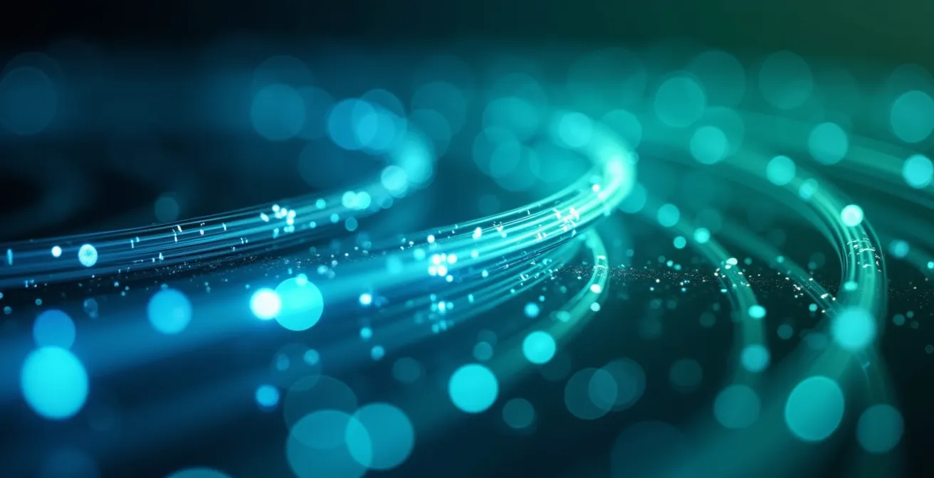 Vue macro de fibres optiques symbolisant la transformation numérique